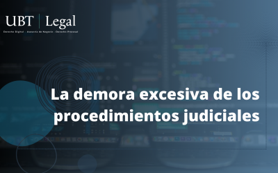 La demora excesiva de los procedimientos judiciales